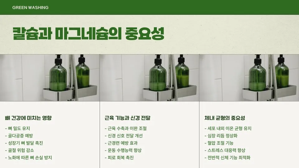 칼슘 마그네슘 효능 이미지 6