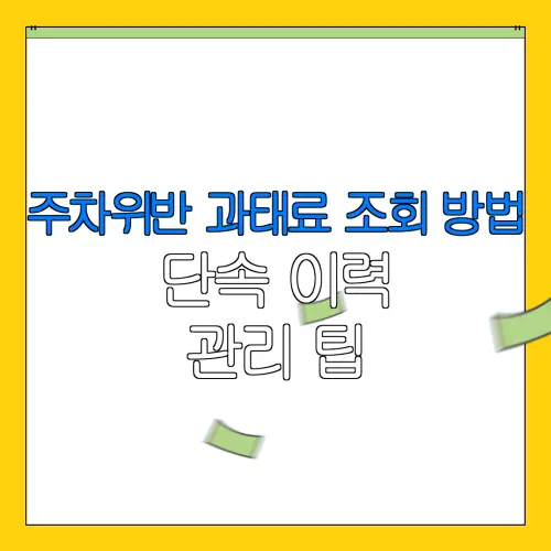 주차위반 과태료 조회 방법단속 이력관리 팁